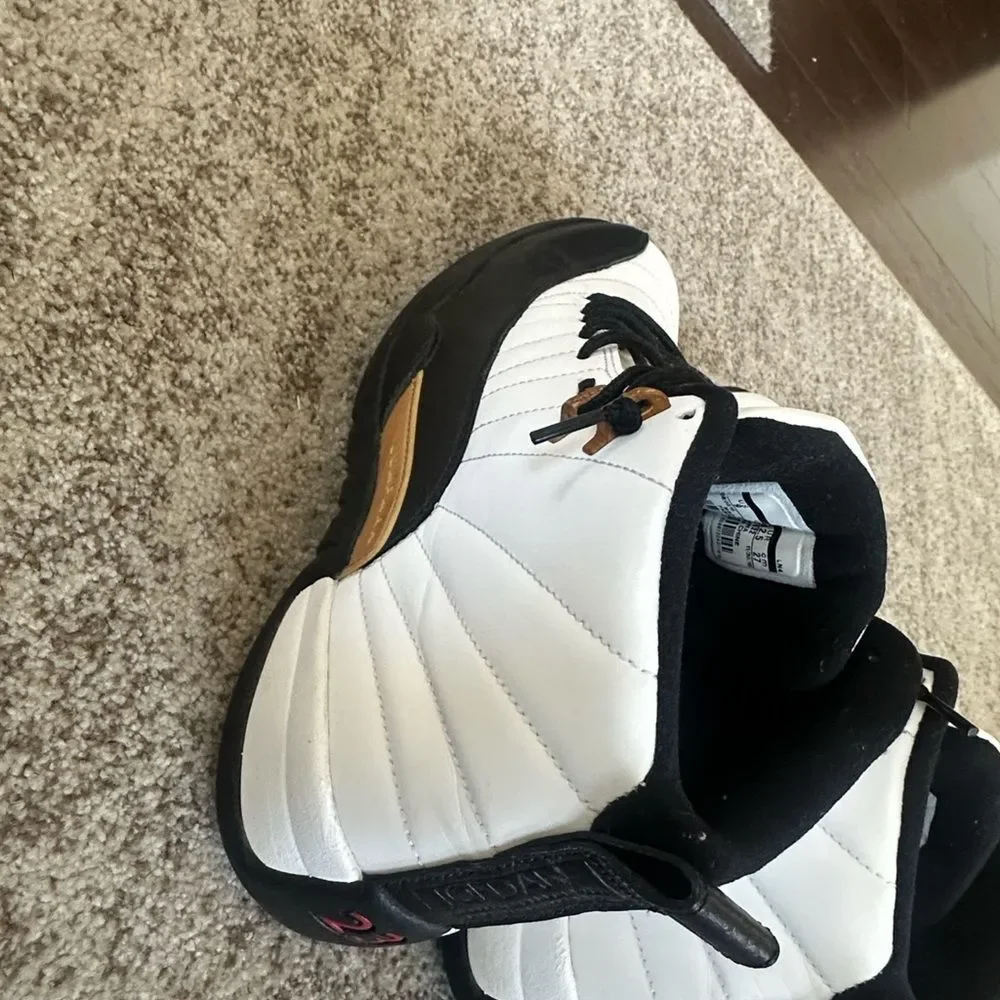 Jordan Air Jordan 12 Retro 